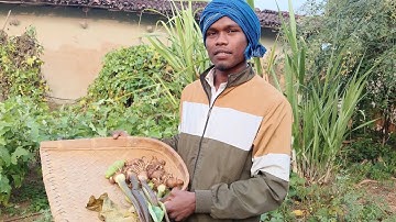 My First Vlog Video | Starting My YouTube Journey | Daily Vlog #Nirmalfunnyvlogs