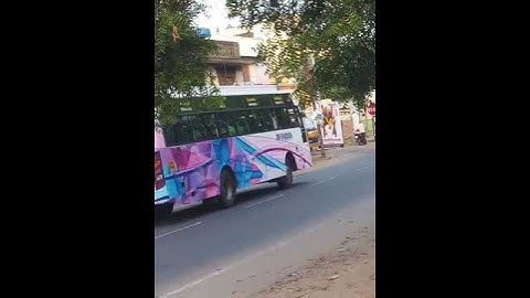 In the morning, the Sri Vinayaka bus to Bangalore arrived with a beautiful and wonderful song.