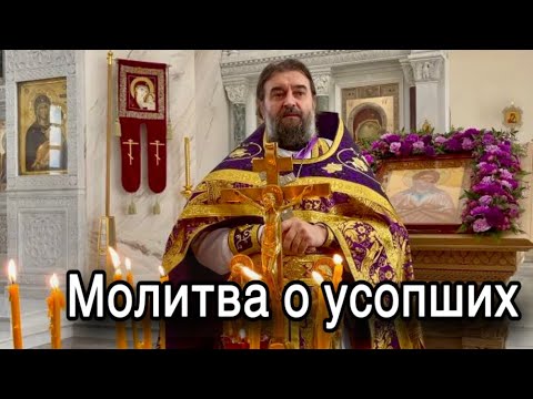 Видео: Человеку нужно остановиться. Отец Андрей Ткачёв