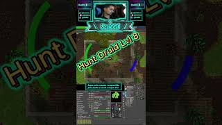 Level 8 Druid Hunt – Swamp Troll EXP &amp; Profit Guide #tibia #mmorpg  #druid #tibiahunt #rpgonline