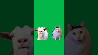 Green Screen Goat Talking to Clueless Huh Cat Meme