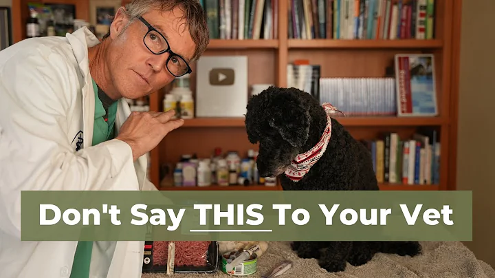 7 Things to Never Say to Your Vet - DayDayNews