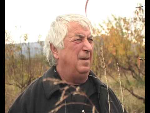 დაზარალებული სადაზღვევო კომპანიის წინააღმდეგ