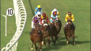 Download lagu SIEGE PERILOUS | The Mystic Memory Plate