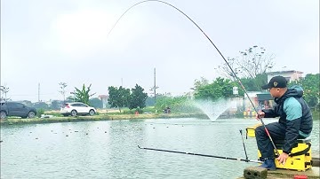 Câu Cá Chép Hồ Dịch Vụ Chia Sẻ Cách Câu Hố Đấu Trong Câu Đài Những Kinh Nghiệm Cần Biết