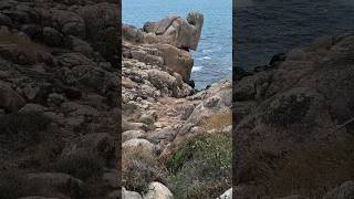 El fascinante mundo de las grandes piedras, con rocas de todas las formas y tamaños Camiño Dos Faros