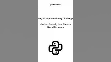 Day 55: Store Python Objects Like Dictionary!! #python  #pythonchallenge #shorts #ytshorts #youtube
