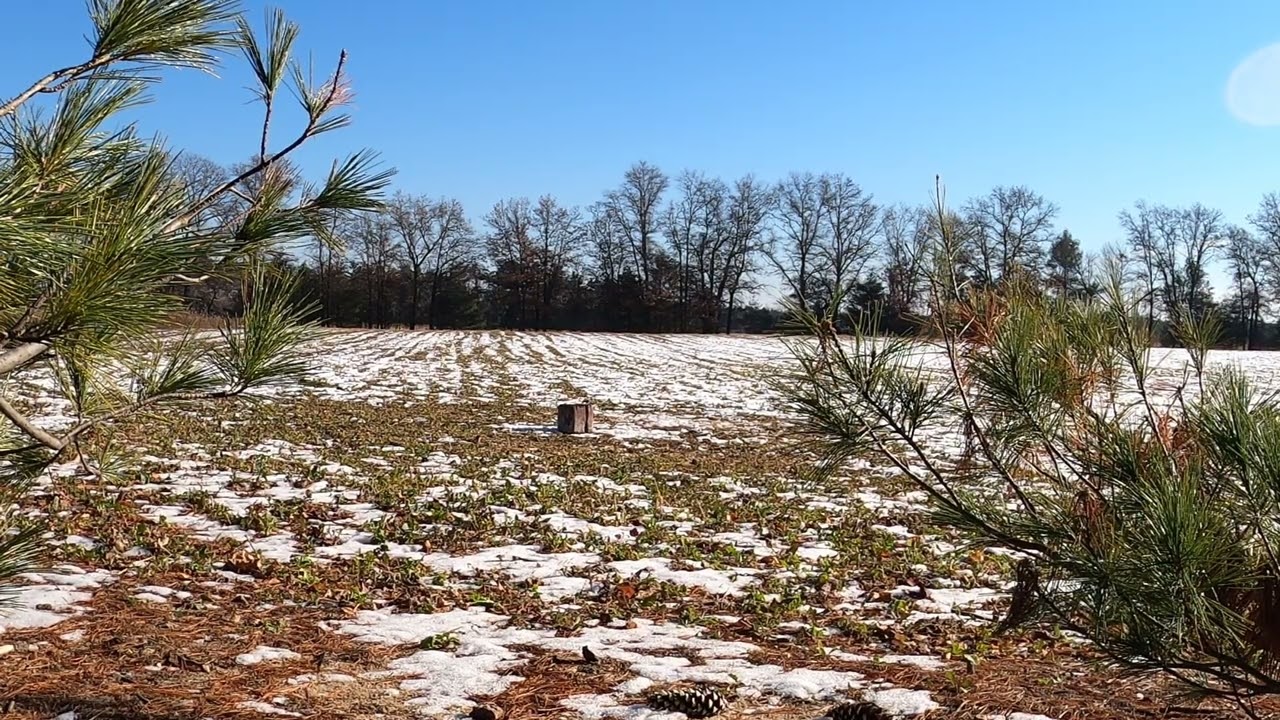 Wisconsin Turkey Hunt1