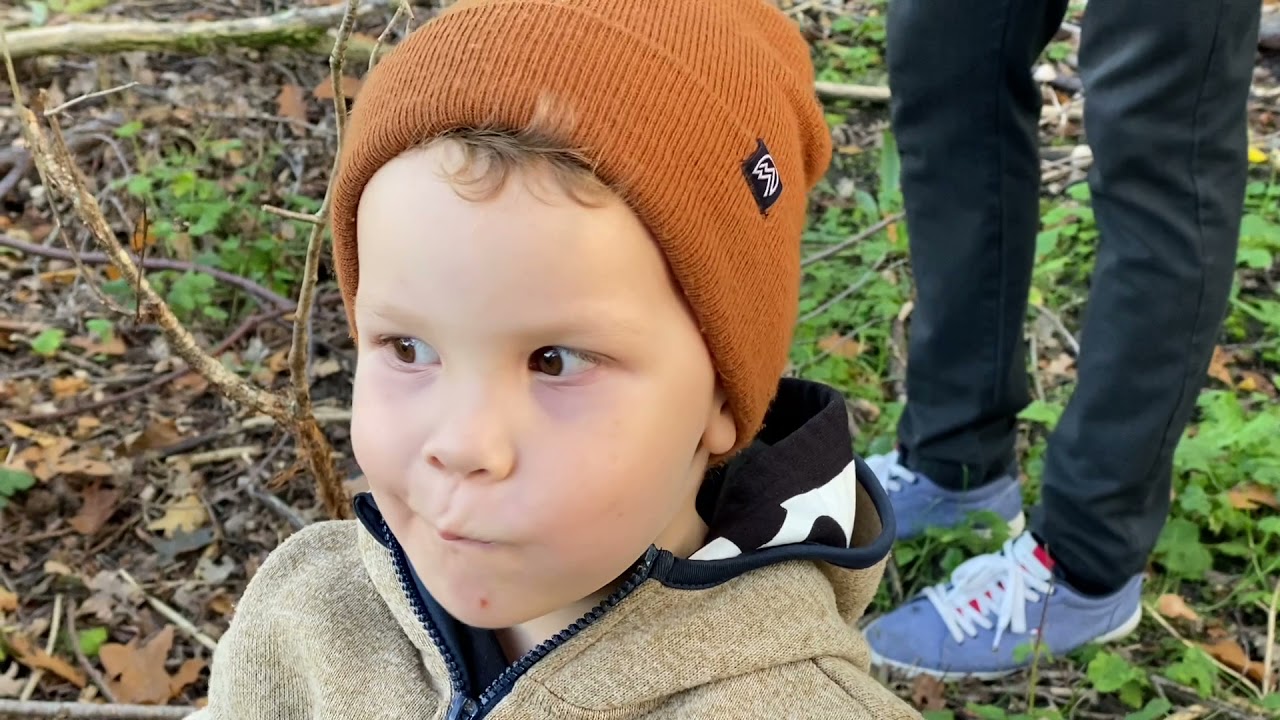 Vlog ningiup iniivia, dyrepark & æblekage