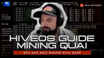 Setting Up HiveOS to Mine Quai with GPU or ASIC