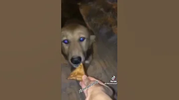 خذ سمبوسه 