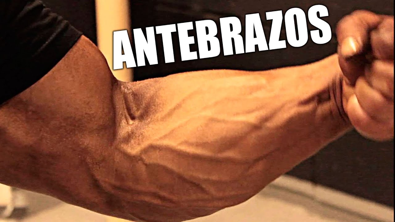 Ejercicios para ensanchar el antebrazo 💪