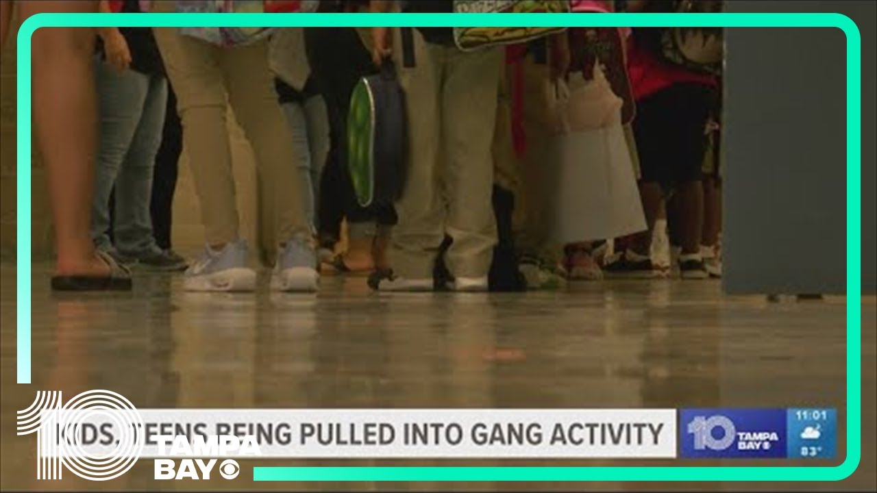 Youth gang violence on the rise, Tampa Bay law enforcement officials ...