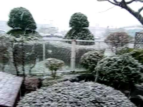 新雪 #2