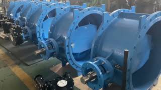 Double Eccentric butterfly valve with rubber seal (13 series/14 series)