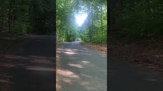 IMG 0644