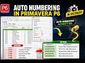🎯 Primavera P6 Activity ID Renumbering in Urdu/Hindi| Auto Numbering in Seconds #Shorts