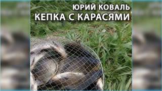 Кепка с карасями, Юрий Коваль радиоспектакль слушать онлайн Кепка с карасями, Юрий Коваль радиоспектакль слушать онлайн