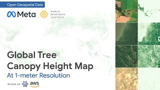 Free 1-Meter Resolution Global Tree Height Canopy Model Download Via Gee Aws Cli