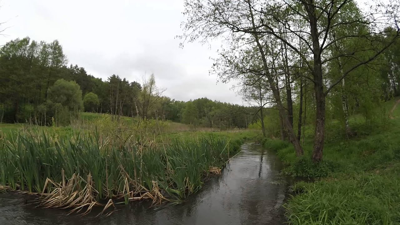 Река в видном Река в видном