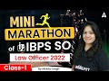 Ibps so law officer 2022 mini marathon  ibps so law officer preparation  class 1