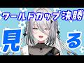 【 一緒に見よ～ 】ワールドカップ決勝戦だ！【 ソフィア・ヴァレンタイン/にじさんじ 】