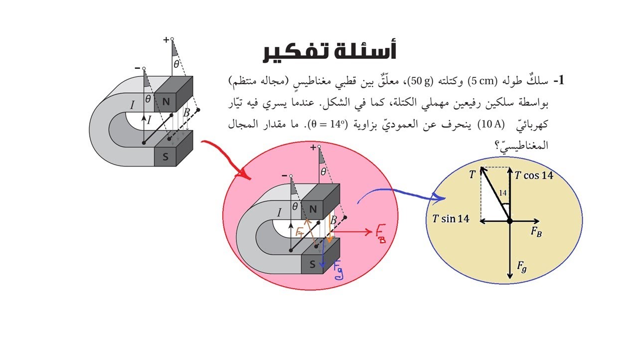 (الجزء الأول) أسئلة التفكير وحدة المجال المغناطيسي