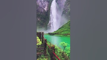 سورة الإخلاص والفلق والناس عبد العزيز الراجحي #اكسبلور #رمضانمبارك #تيك_توك #المصحف #دويتو #ترند