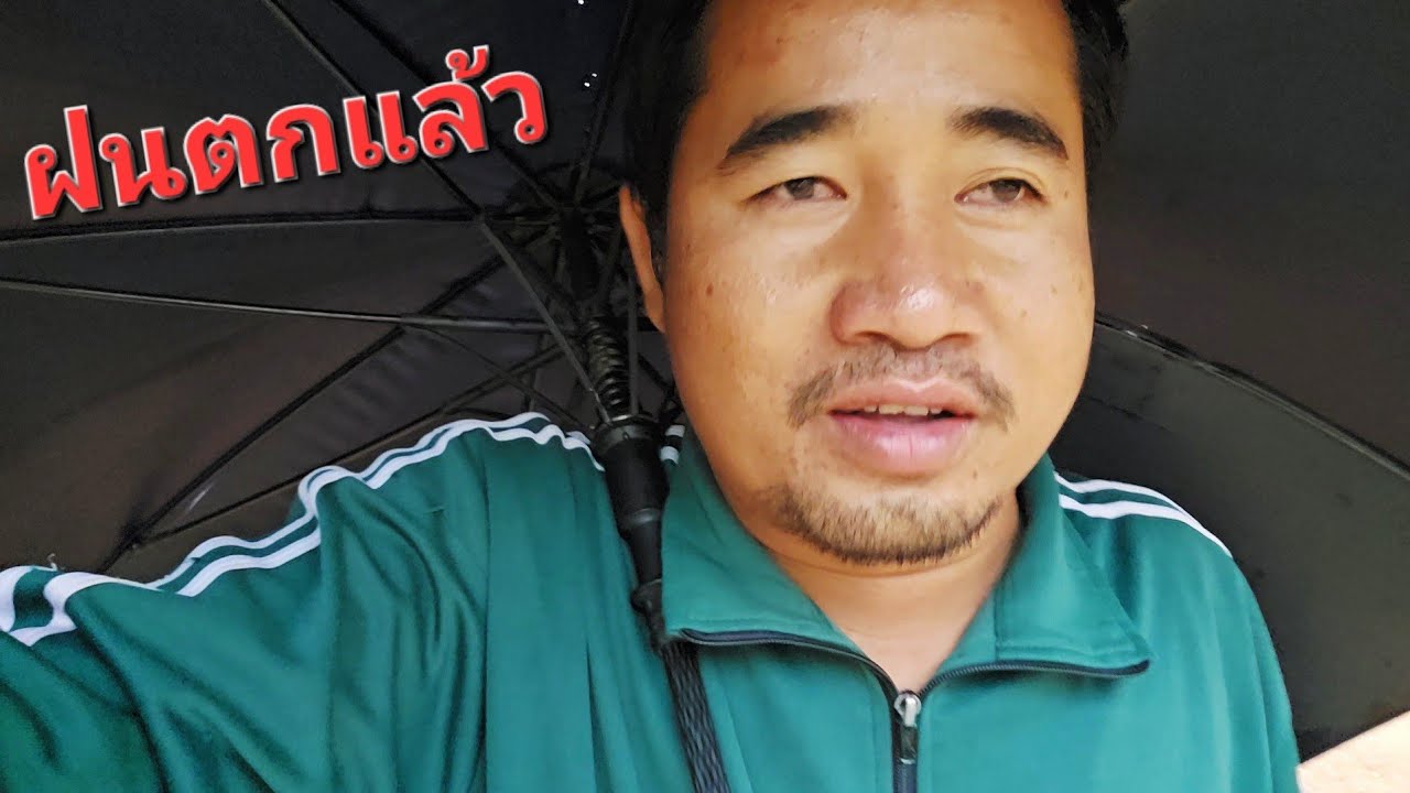 บรรยากาศชุ่มฉ่ำ.