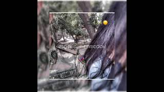 Meni Menden Yaxşı Bilirsen Esgeri̇m Saf Salamt Gel Gulsenivin Yanina