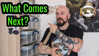 Next Season’s Pairs: The Most Anticipated Ball Python Clutches