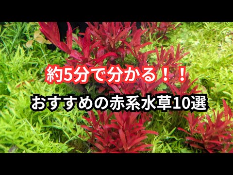 YouTube Music