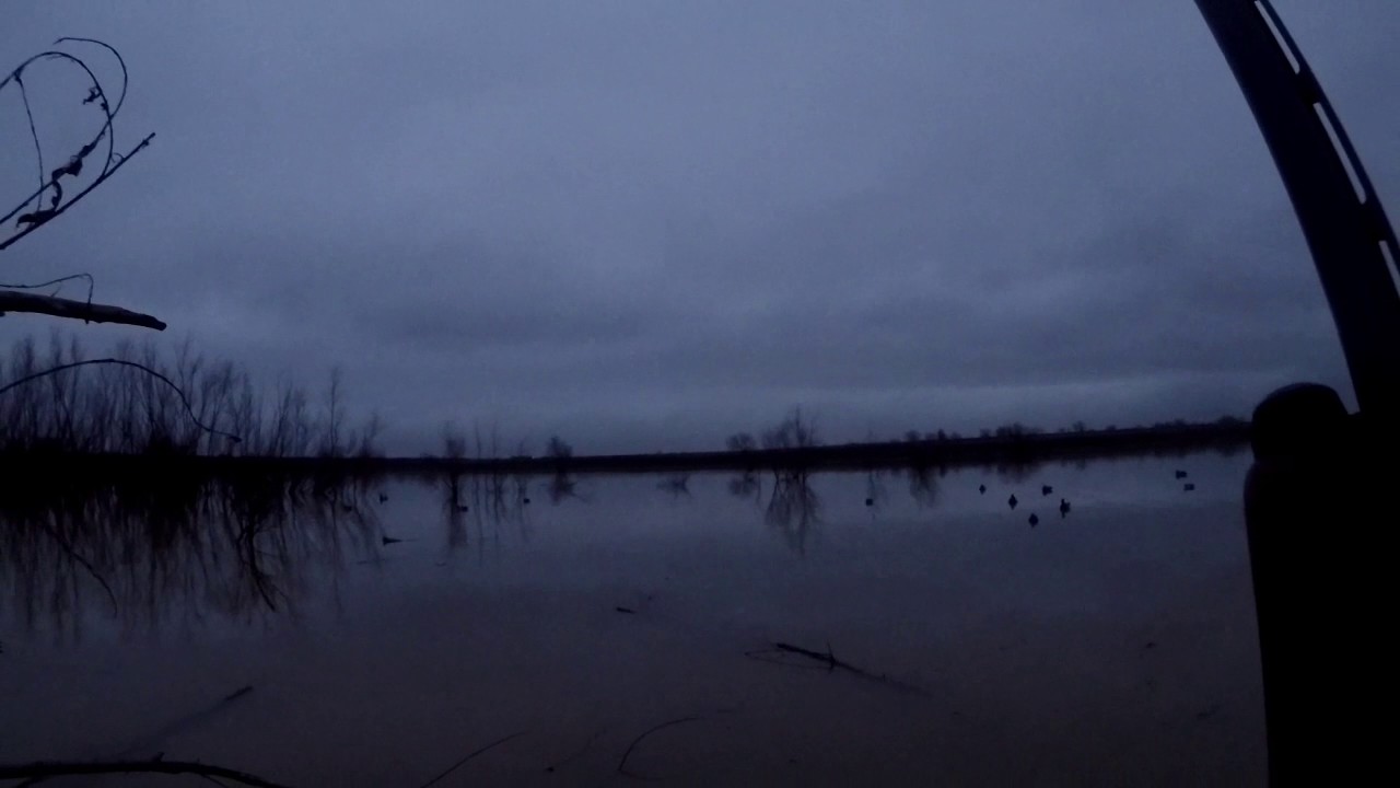 Duck hunting texas public land 2016 YouTube
