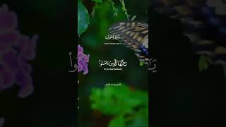 صلوا على رسول الله ﷺ || القارىء يوسف الصقير