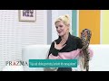 Erdhi me gjarprin në studio, Fiona Rushiti thotë se ky gjarpër nuk është i dëmshëm, nuk të bën asgjë