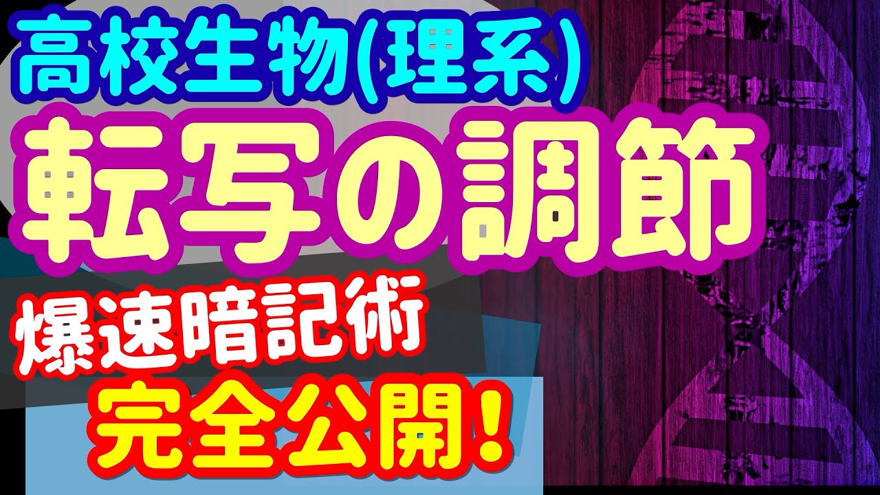 【高校生物 21】遺伝子【真核生物の転写調節】を宇宙一わかりやすく