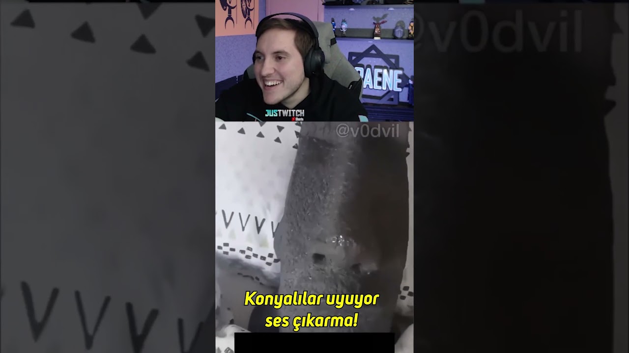 Rraenee - Türkiye Simülasyonu 