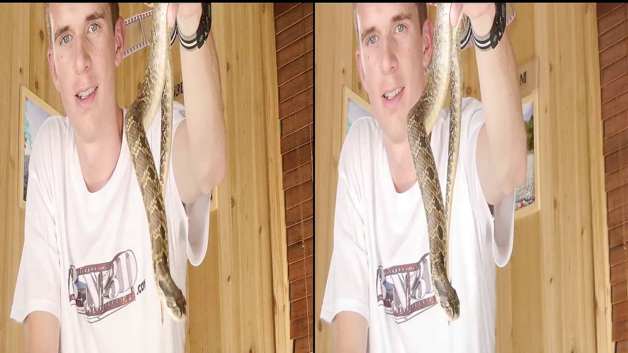 3dn3d scary snake full hd