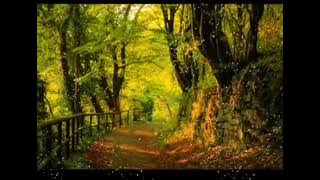 KISI-KISI HATI [Dian Piesesha - Lirik]