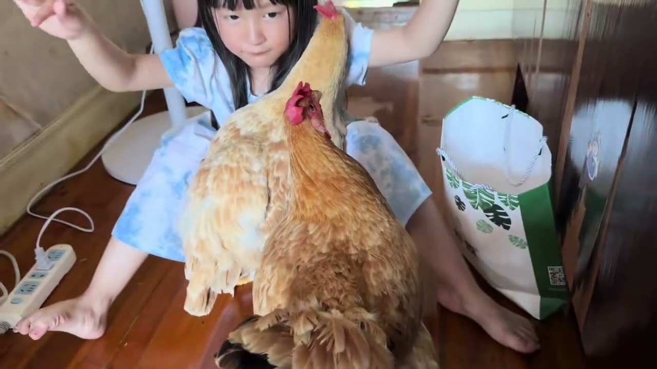 Little girl hugs chickens in Zhejiang, China