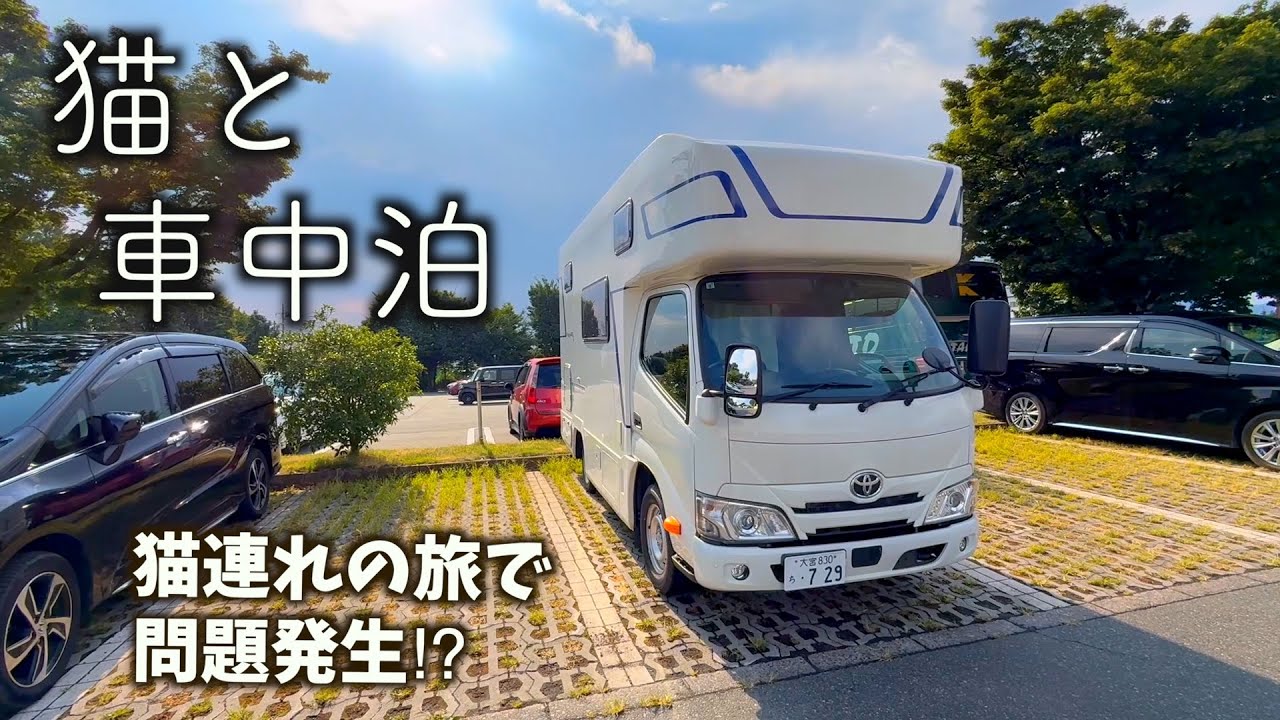【猫と夏旅・群馬前編】楽しいはずがまさかの事態に・・。キャンピングカーで夏の絶景を満喫する旅