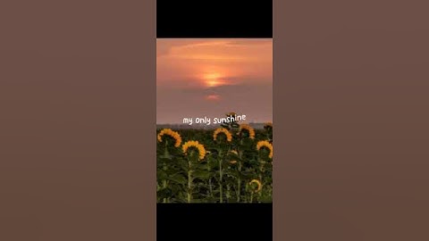 Thumbnail of You Are My Sunshine // The Hound + The Fox