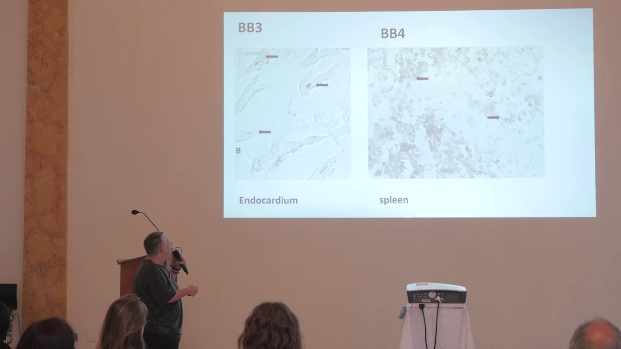Molecular Detection of Borrelia in Human Tissue: Two case studies - Dr. Vett Lloyd