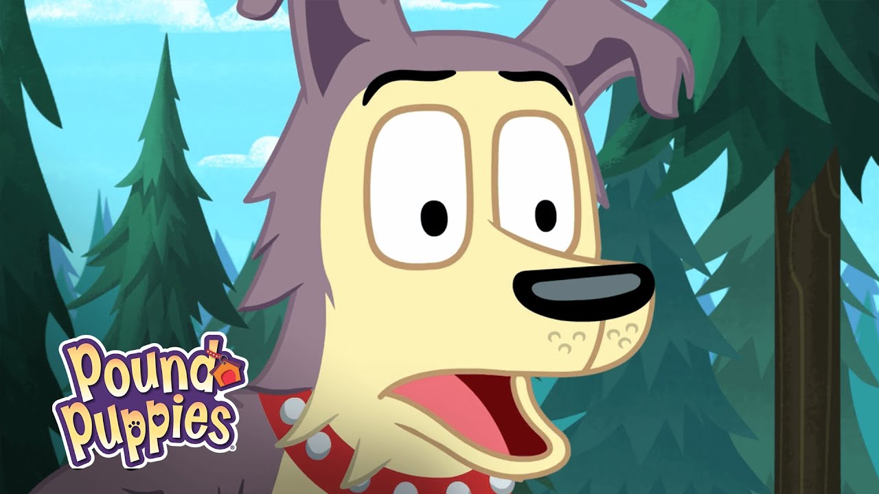 Pound Puppies - Look and Jump! - YouTube