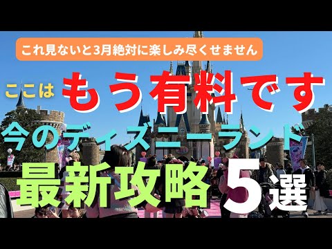 【ディズニーランド】もはや有料になりそうです。最新攻略５選 これから行く人は絶対に見てください