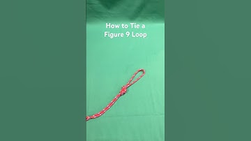 How to Tie a Figure 9 Loop