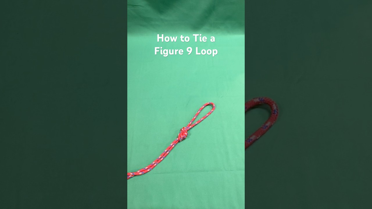 How to Tie a Figure 9 Loop