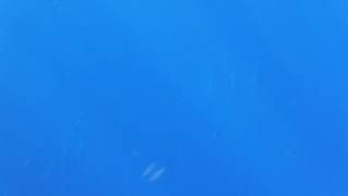 DSCF7325