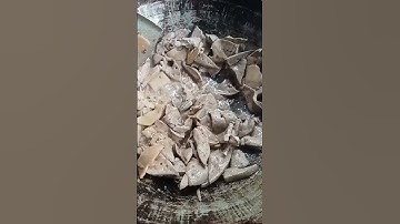 dân dã vùng cao ẩm thực núi Rừng#núirừng #núirừng #núirừng