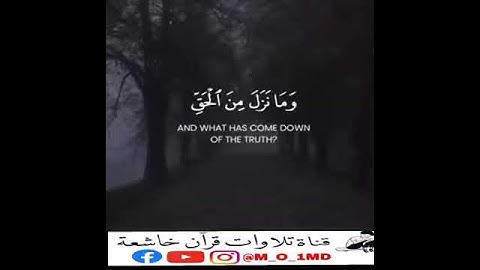 صوته يأخذك إلا عالم آخر🎧😍 قارئ جديد : ممدوح عماد💚